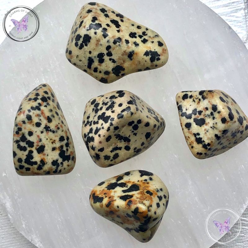 Dalmation Jasper Tumble Stone